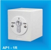 ORION Schlüsselschalter AP1-1R mit einseitigem Rastkontakt