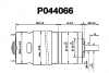 JBW P044066 Planetengetriebemotor 12 V DC, 248 U/min  Sonderangebot